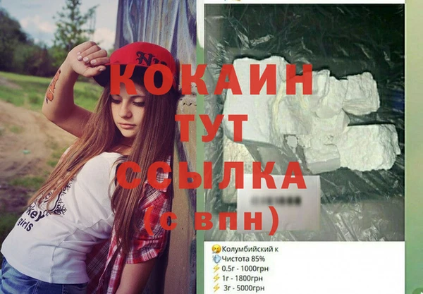 твердый Вяземский